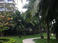 iphone_upload_pic-三亚湾红树林度假世界(木棉酒店)