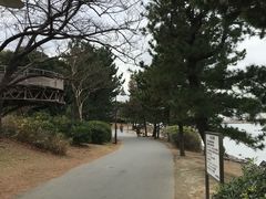 -台场海滨公园船码头