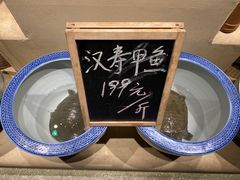 汉寿甲鱼-洞庭土菜馆(天河北总店)