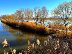 -野鸭湖国家湿地公园