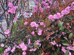 -王府井奥莱临潼小镇(临潼店)