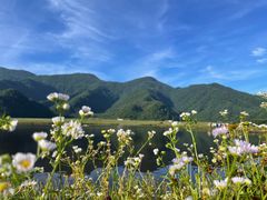 -大九湖