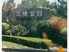 -前关湿地公园