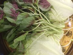 -菌乡缘·野生菌蒸汽鱼火锅(江边夜市店)