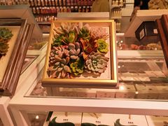 -KKV(天津津南吾悦广场店)