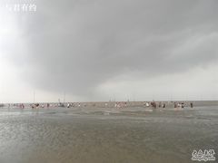-碧海金沙