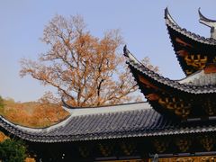 -剑河仰阿莎温泉小镇