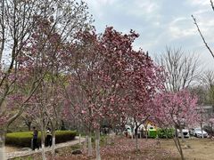 -白塘生态植物园