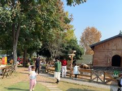 -HERRE·FARM 赫尔露营农场·团建聚会包场