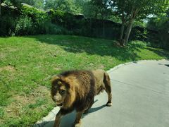 -北京野生动物园