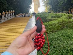 -西双版纳勐泐文化旅游区