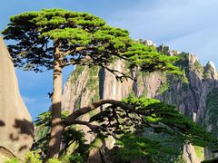-黄山风景区