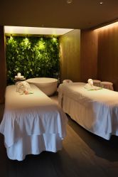 -VELEE·SPA高定疗愈会所