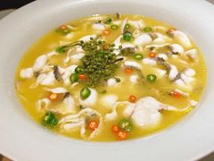 青花椒味砂锅鱼-青花椒花椒鱼(合生汇店)