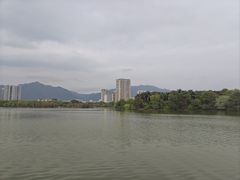 -飞来湖湿地公园