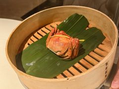 时令六月黄-成隆行·蟹王府(淮海店)