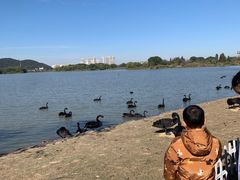 -长兴太湖图影湿地文化园