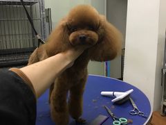 -沐沐家宠物(成寿寺店)