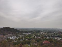 -上海佘山国家森林公园西佘山园