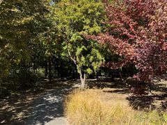 -国家植物园南园