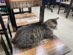 -玉椰林甜品店(创始店)