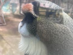 -宁波野生动物园