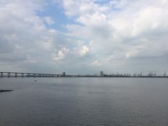 -大湾区中央湿地公园
