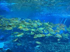 -海合安成都极地海洋公园
