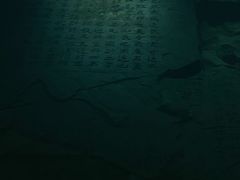 -白鹤梁水下博物馆