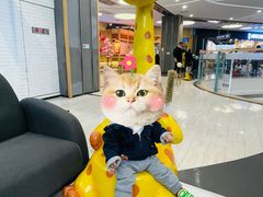 -大族广场Mall&More