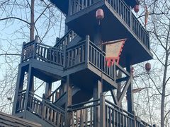 -合肥滨湖国家森林公园