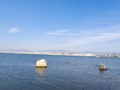-洱海月湿地公园