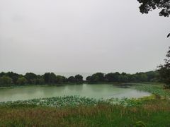 -上海市保健医疗中心