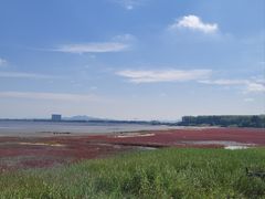 -辽宁团山国家级海洋公园