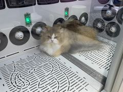 -FAELING PETS美天灵宠物(富力广场店)