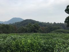 -西湖风景区十里琅珰-五云山