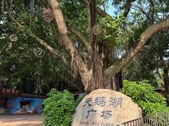 -广州长隆野生动物世界