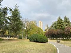 -后襄河公园
