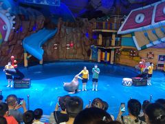 -烟台海昌鲸鲨海洋公园