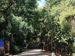 -成都老君山