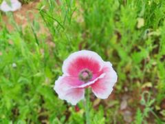 -盘龙城国家考古遗址公园