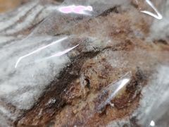 -熊叔熊婶面包房(团结湖店)