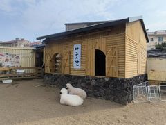 -HERRE·FARM 赫尔露营农场·团建聚会包场