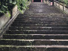 -富乐山