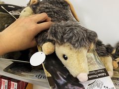 -汪说喵讲宠物乐园宠物酒店(红星美凯龙店)