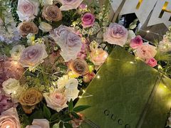 -Gucci(沈阳万象城店)