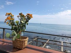 -Cafe Rooftop Cheongsapo