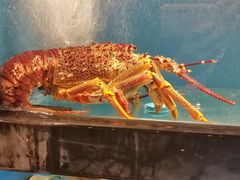 -百富源·海鲜辽菜(和平北大街店)