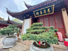 -上海东林寺(金山区)