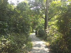 -水濂山森林公园